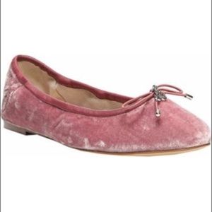 Sam Edelman Shoes - Sam Edelman Felicia velvet ballerina flats NWOT Sam Edelman Shoes - Sam Edelman Felicia velvet ballerina flats NWOT
